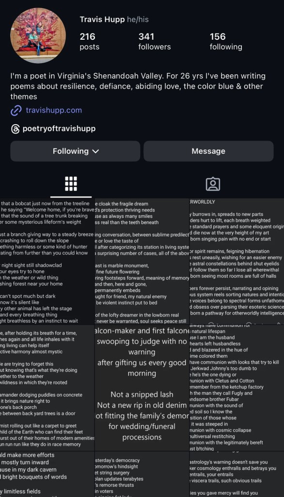Instagram profile screenshot of poet Travis Hupp, featuring his bio, posts, followers, and following counts.
